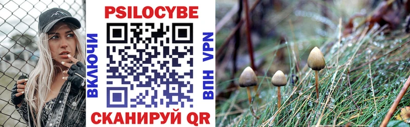 Галлюциногенные грибы Psilocybe  как найти закладки  Сухой Лог 