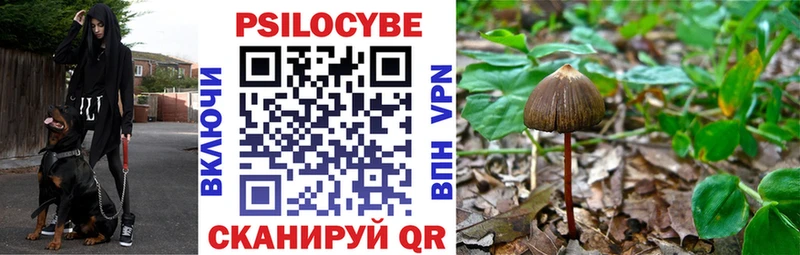 Галлюциногенные грибы GOLDEN TEACHER Сухой Лог