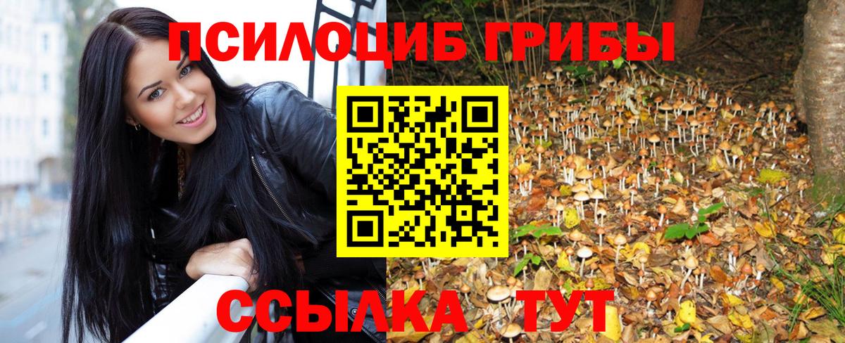 Галлюциногенные грибы мицелий  Вход с VPN  где купить наркоту  Сухой Лог 