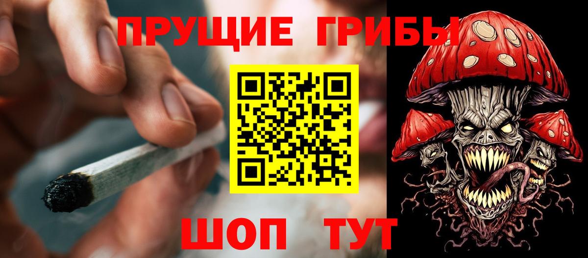 Галлюциногенные грибы Psilocybine cubensis Сухой Лог